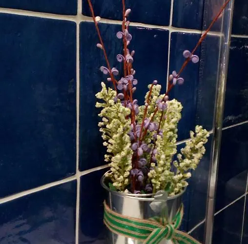 14desande Apartamento